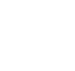 Zelptir Capital